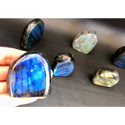 LABRADORITE Forme Libre Polie Lot de 12 pièces