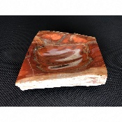 BOIS FOSSILE CENDRIER 685 gr