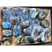LABRADORITE GALET Lot de 19 pièces