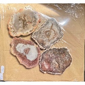 BOIS FOSSILE PLAQUE Deux Faces Polies Paquet de 1 kg