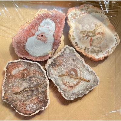 BOIS FOSSILE PLAQUE Deux Faces Polies Paquet de 1 kg