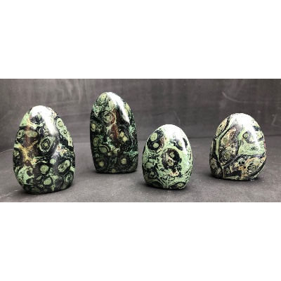 JASPE Kambaba FORME LIBRE Lot de 4 Pièces
