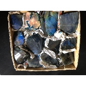 LABRADORITE UNE FACE POLIE Carton de 12 pièces