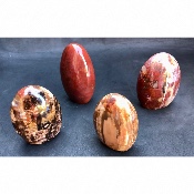 BOIS FOSSILE FORME LIBRE Lot de 4 pièces