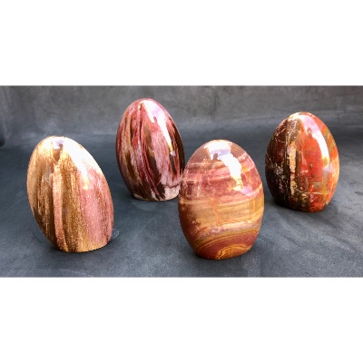 BOIS FOSSILE FORME LIBRE Lot de 4 pièces