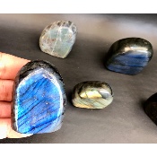 LABRADORITE Forme Libre Polie Lot de 12 pièces