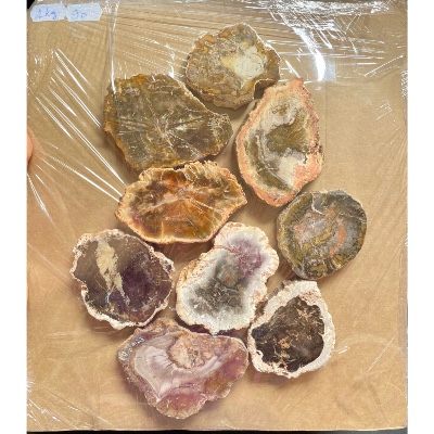 BOIS FOSSILE PLAQUE Deux Faces Polies Paquet de 1 kg