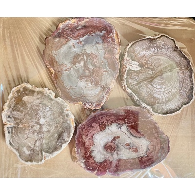 BOIS FOSSILE PLAQUE Deux Faces Polies Paquet de 1,5 kg