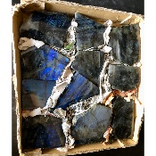 LABRADORITE UNE FACE POLIE Lot de 11 pièces