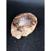 BOIS FOSSILE TRONC 685 gr