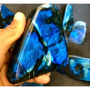 LABRADORITE bleue FORME LIBRE polie Lot de 12 pièces 