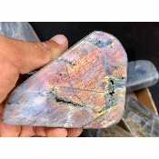 LABRADORITE dorée-violette Entièrement POLIE Lot de 7 pièces