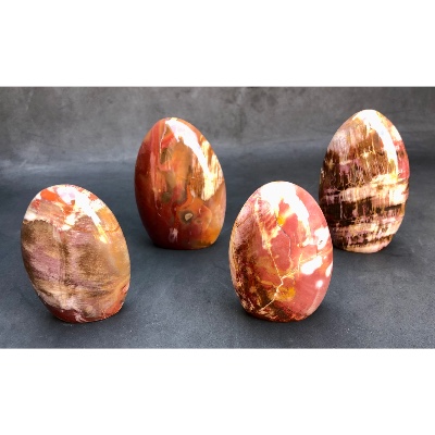 BOIS FOSSILE FORME LIBRE Lot de 4 pièces