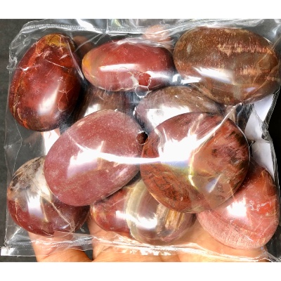 BOIS FOSSILE GALET sachet de 500g