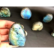 LABRADORITE Forme Libre Polie Lot de 12 pièces