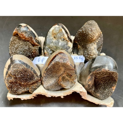 SEPTARIA OEUF Lot de 1150g