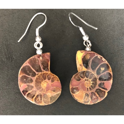 AMMONITE BOUCLE D'OREILLE 