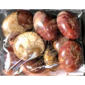 BOIS FOSSILE GALET sachet de 500g