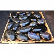 LABRADORITE Multicolore-violet GALET Carton de 19 pièces