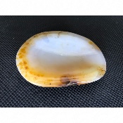 AGATE CENDRIER 195 gr