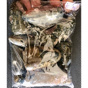 JASPE ORBICULAIRE FORME LIBRE lot de 1Kg