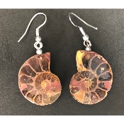 AMMONITE BOUCLE D'OREILLE 