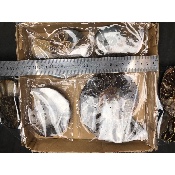 AMMONITE SCIÉE Lot de 1460 g