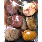 BOIS FOSSILE GALET sachet de 500g