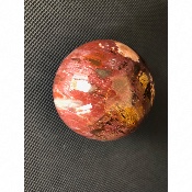 BOIS FOSSILE BOULE 675 gr