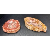 BOIS FOSSILE CENDRIER Lot de 2,33 Kg