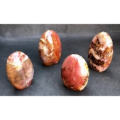 BOIS FOSSILE FORME LIBRE Lot de 4 pièces