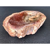 BOIS FOSSILE VIDE-POCHE 715g