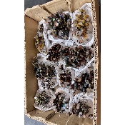 QUARTZ ARC-EN-CIÈL BRUT lot de 11 pièces