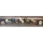 LABRADORITE Forme Libre Polie Lot de 12 pièces