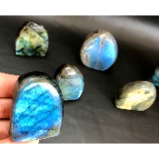 LABRADORITE Forme Libre Polie Lot de 12 pièces