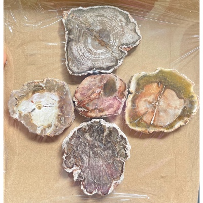 BOIS FOSSILE PLAQUE Deux Faces Polies Paquet de 1 kg