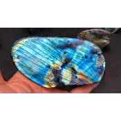 LABRADORITE FORME LIBRE POLIE Lot de 7 Pièces