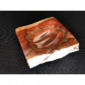 BOIS FOSSILE CENDRIER 685 gr