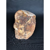 BOIS FOSSILE TRONC 2370 gr