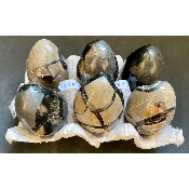 SEPTARIA OEUF Lot de 6 pièces