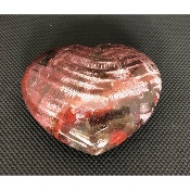 BOIS FOSSILE COEUR 465 gr