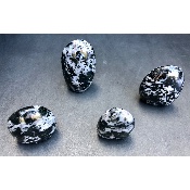 GABBRO FORME LIBRE lot de 4 Pièces