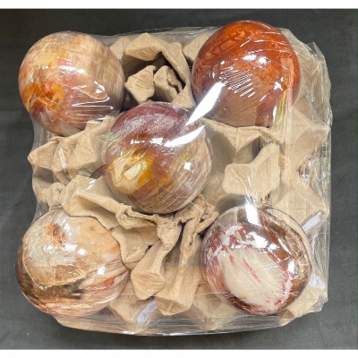 BOIS FOSSILE BOULE Lot de 5 pièces