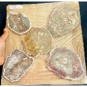 BOIS FOSSILE PLAQUE Deux Faces Polies Paquet de 1,5 kg