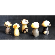 SEPTARIA CHAMPIGNON lot de 5 pièces