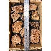 GÉODE CRISTAL BRUT lot de 11 pièces