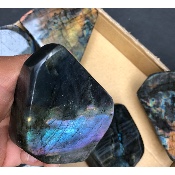 LABRADORITE Forme Libre Violet-Multicolore Lot de 8 Pièces