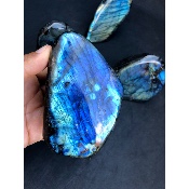 LABRADORITE bleue FORME LIBRE polie Lot de 4 pièces