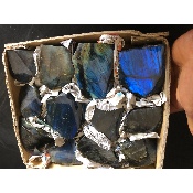 LABRADORITE UNE FACE POLIE Carton de 12 pièces