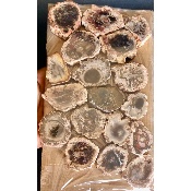 BOIS FOSSILE PLAQUE 02 Faces Polies Paquet de 500g